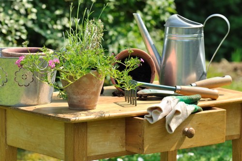 Photo of a gardener using adaptive tools in a Walthamstow garden